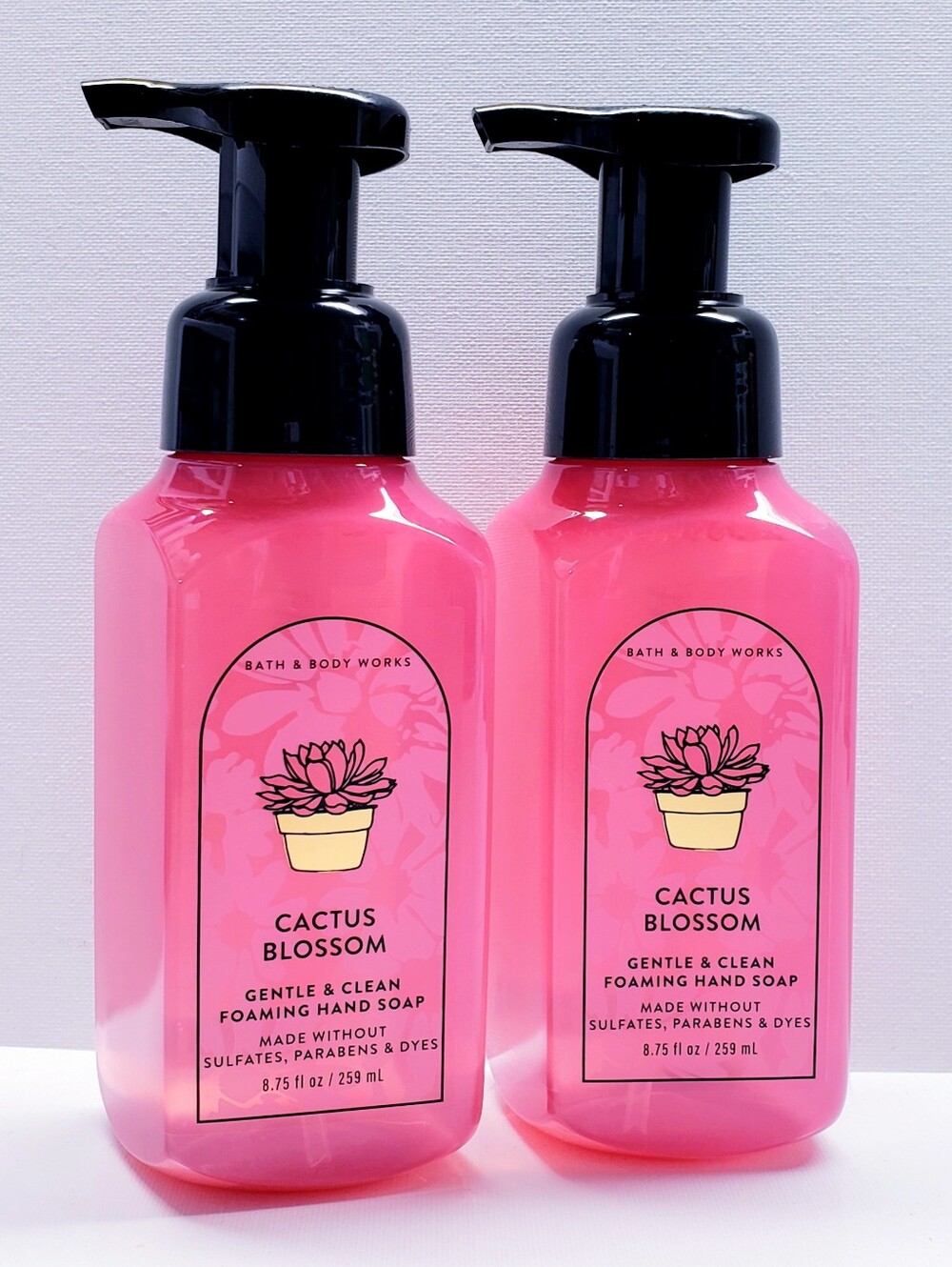 Bath & Body Works CACTUS BLOSSOM Gentle & Clean Foaming Hand Soap (2 Pcs)